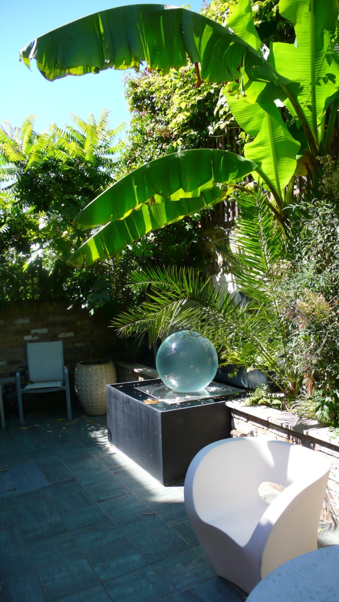 My Small Garden Of Shady Beauty 🖤