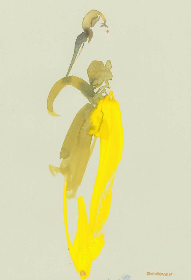 Bil Donovan Illustrator