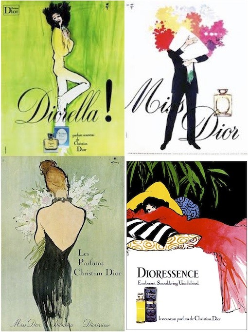 Dior The Perfumes by Chandler Burr