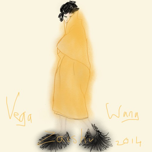 Plus Black blog Vega Zaishi Wang 2014