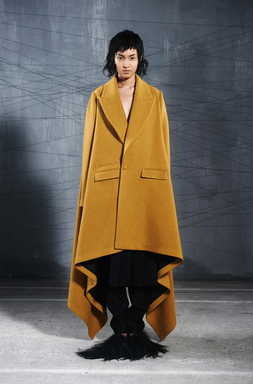 Vega Zaishi Wang 2014