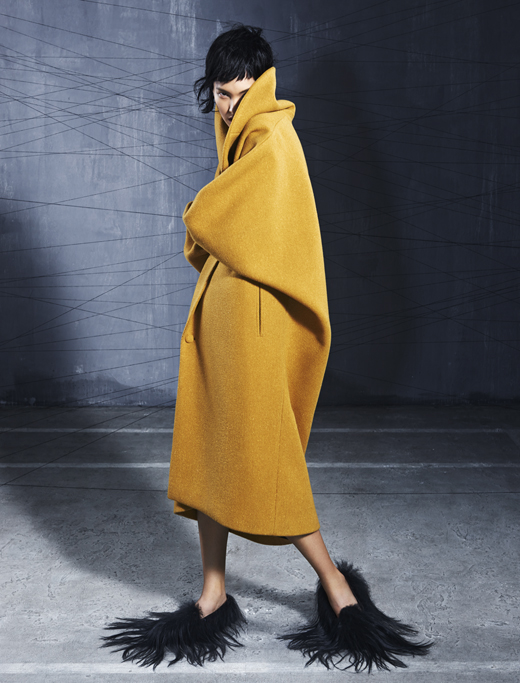 Vega Zaishi Wang A/W 2014