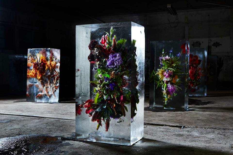 Iced Flowers: Exotic Floral Bouquets Locked in Blocks of Ice by Makoto Azuma