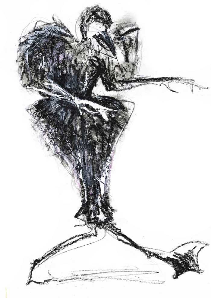 Illustration Inspired By Alexander McQueen - Carmen Christine Whiteley