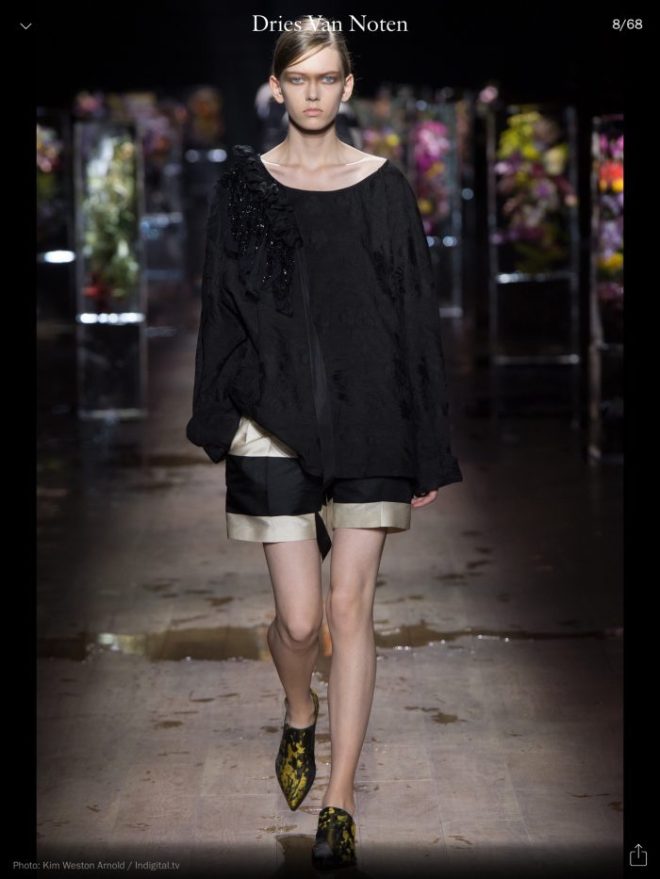 PFW: Dries Van Noten RTW S/S 2017, image courtesy of Vogue Runway