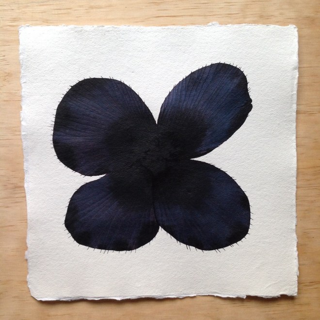 Black Bloom by Stephen Doherty - ink and watercolour paintings on cotton rag, £195