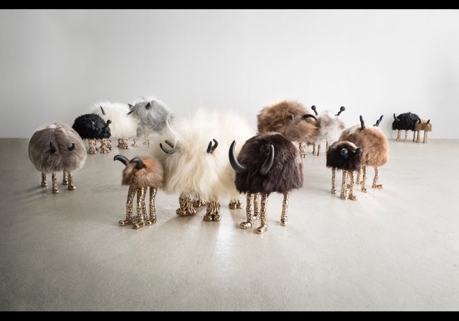 The Haas Brothers: Mini Beats