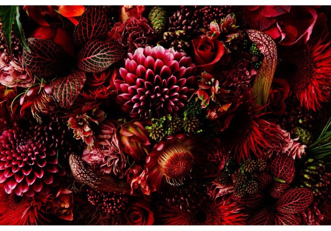 Makoto Azuma - from 'Enclyopedia of Flowers Part 2'