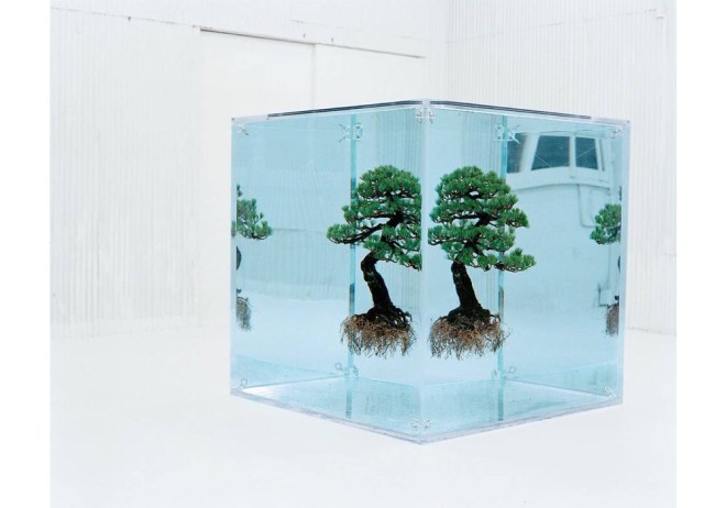 Makoto Azuma - exhibition work