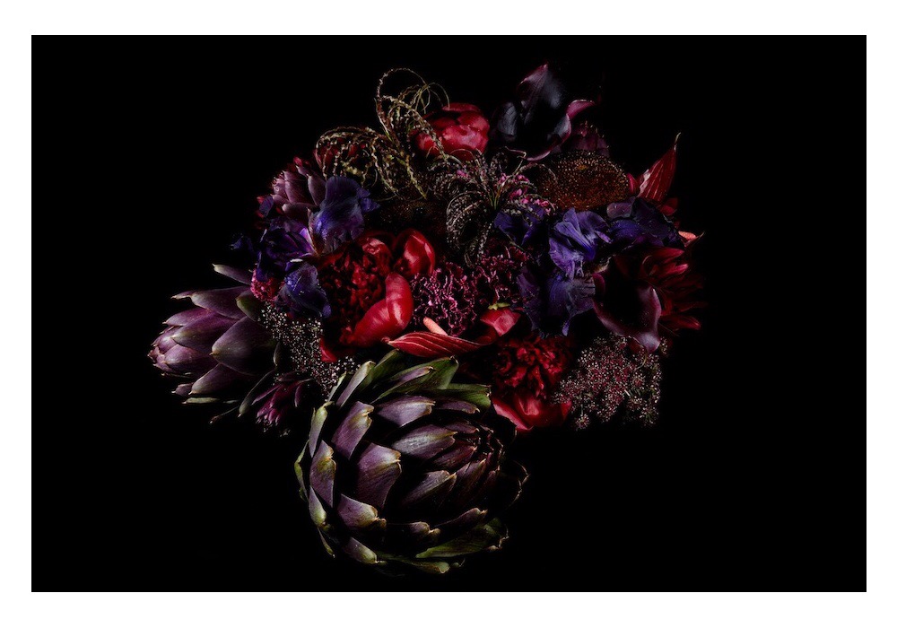 Makoto Azuma - from 'Enclyopedia of Flowers Part 2'