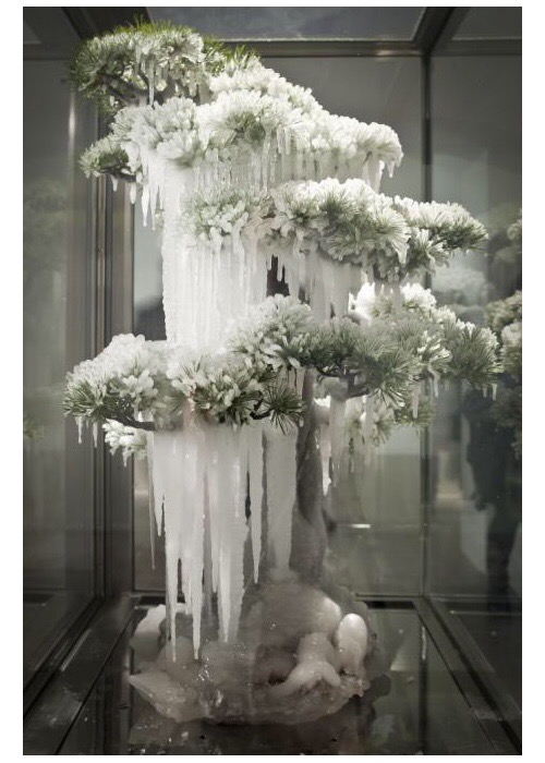 Makoto Azuma - commissioned work