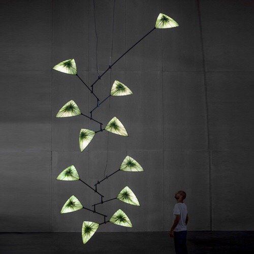 Aqua Creations Avia 6 Mobile 2005