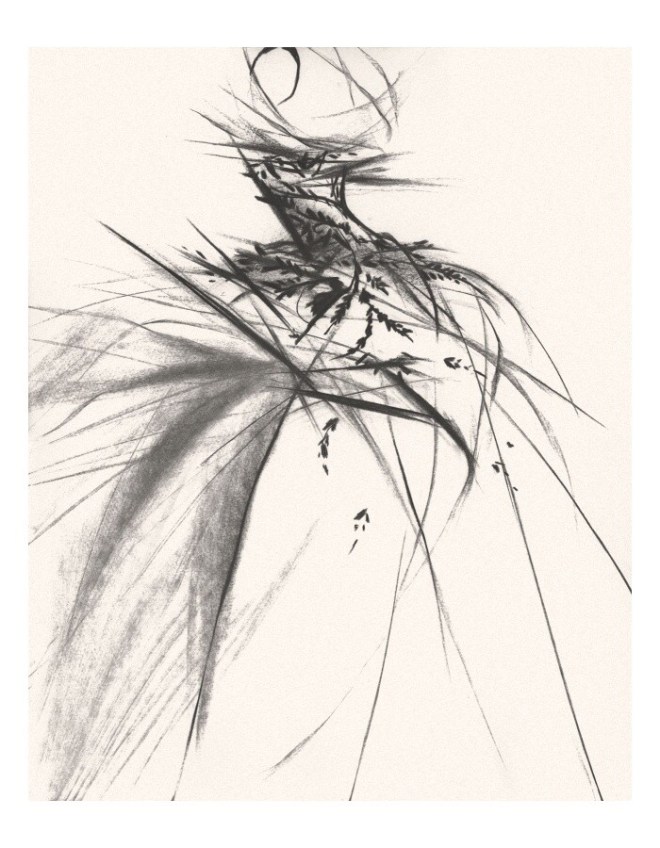 Illustrator Tobie Giddio: One illustration from NYFW13, a series of Illustrations for Show Studio Shop Image source: www.tobiegiddio.com