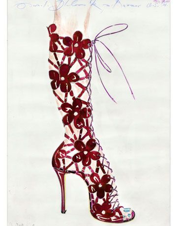 Illustration by Manolo Blahnik