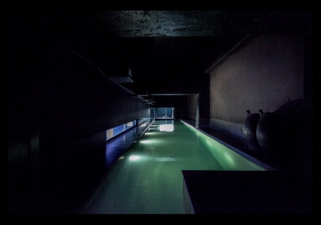 David Adjaye's Lost House: swimming pool