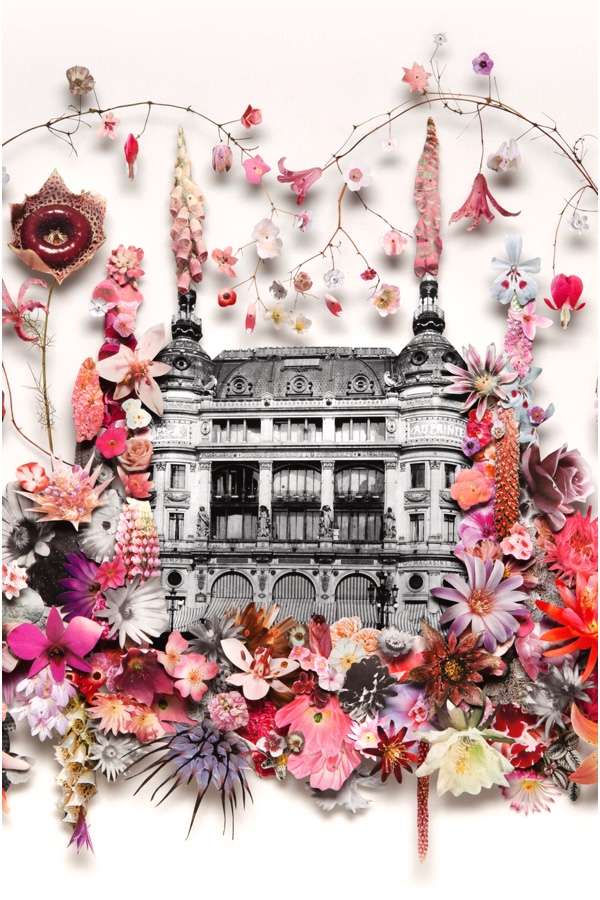 Anne Ten Donkelaar: Illustration For ‘Printemps’