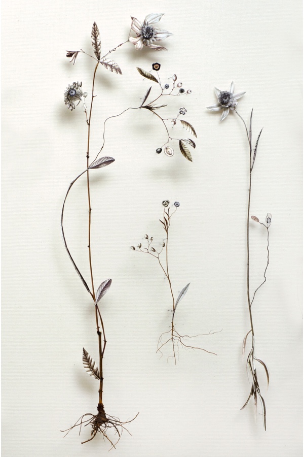 Anne Ten Donkelaar: From Flower Construction Series