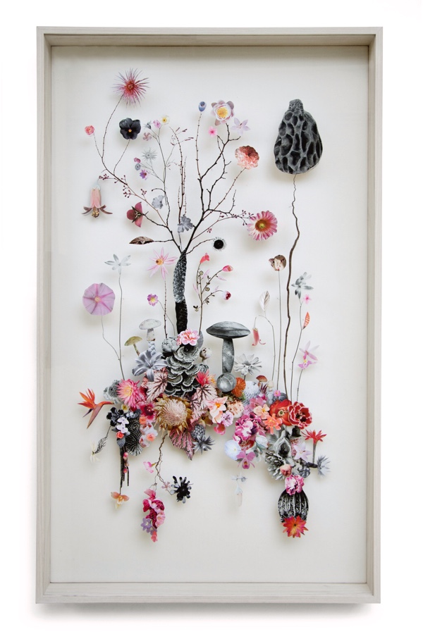 Anne Ten Donkelaar: From Flower Construction Series