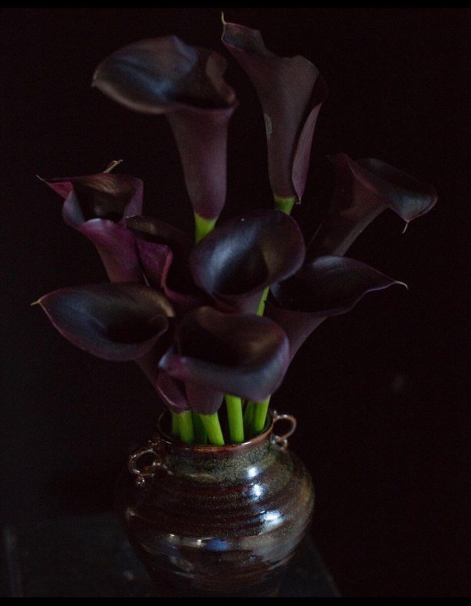 Frances Palmer Pottery: Image via Instagram Feed