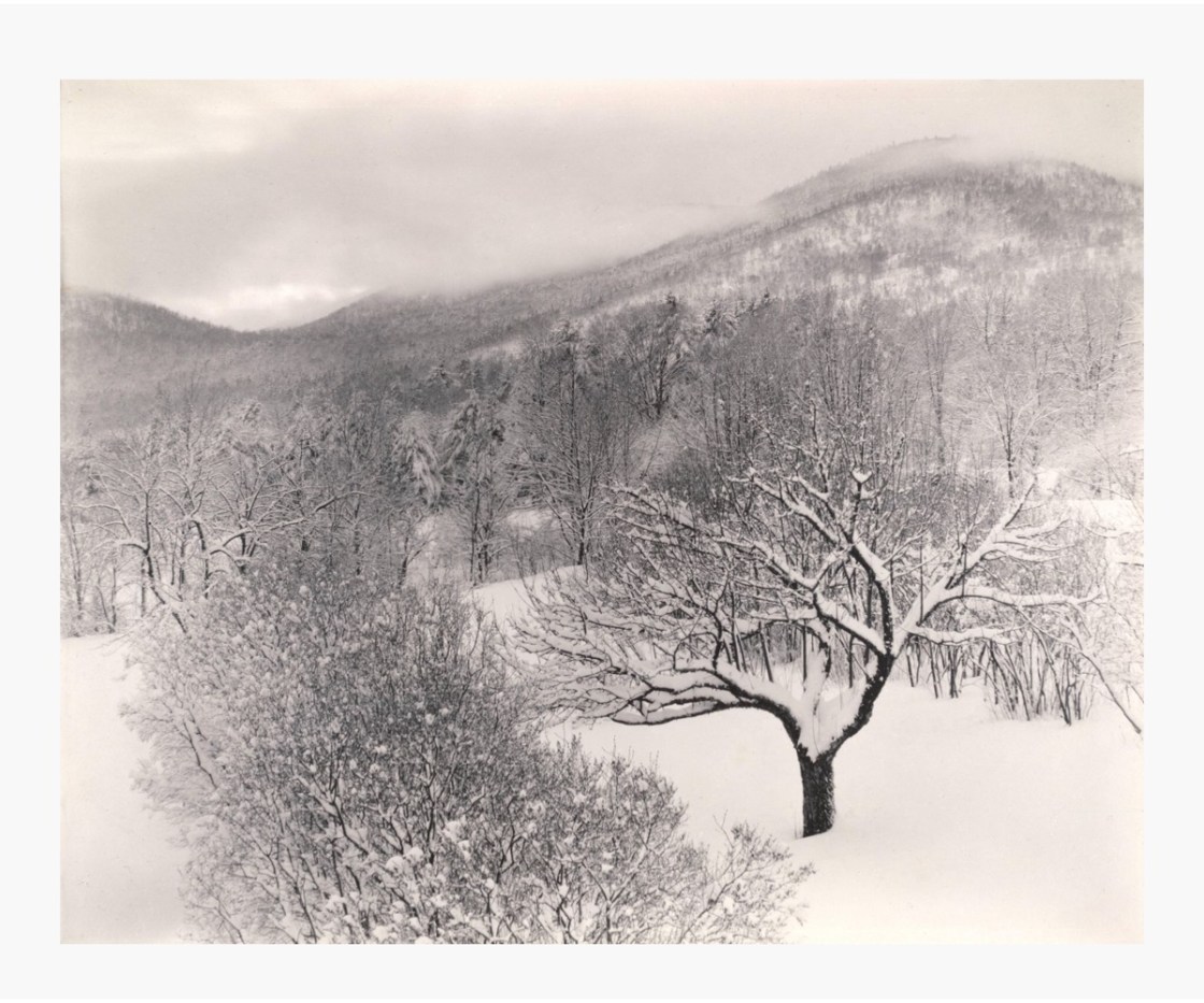 Alfred Stieglitz: Untitiled (Winter Landscape, Lake George, New York), 1923. Image courtesy: SFMOMA