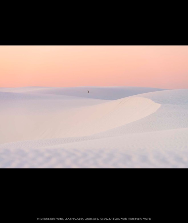 2018 Sony World Photography Awards