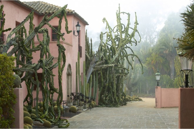 Book: Dreamscapes with Photography by Claire Takacs. Giant weeping succulents at the entrance of the 1890s house.