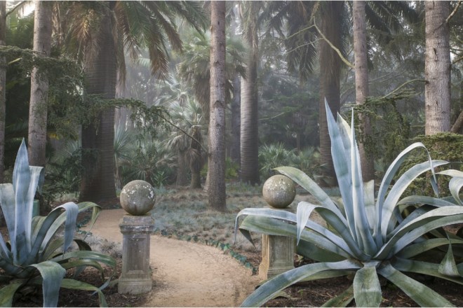 Book: Dreamscapes with Photography by Claire Takacs. Lotusland: Giant blue Agave x franzosinii stand guard at the entry to the Blue Garden, while Festuca glauca grasses provide a ground cover beneath Chilean wine palms.