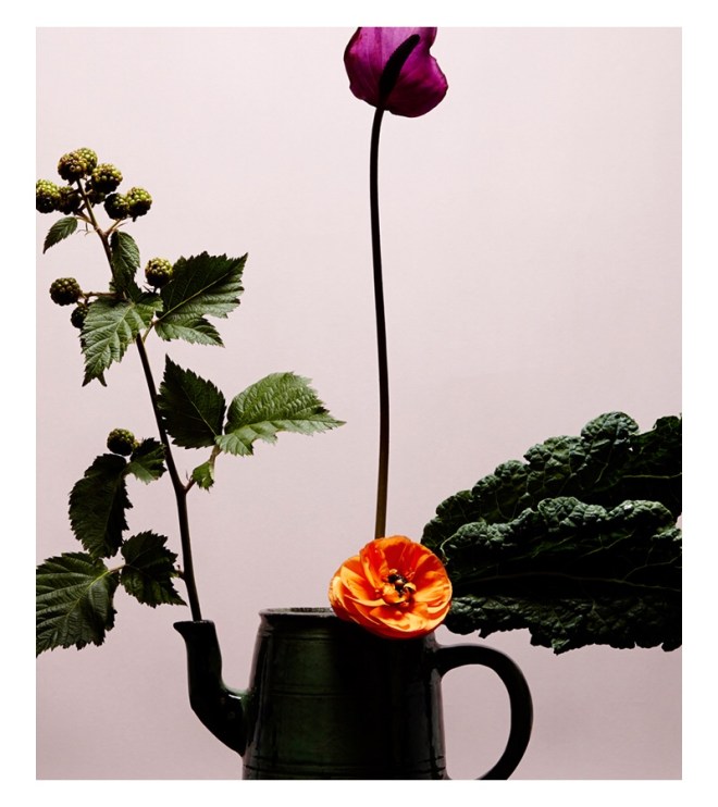 Livia Cetti Portfolio Image © 2017 The Green Vase.