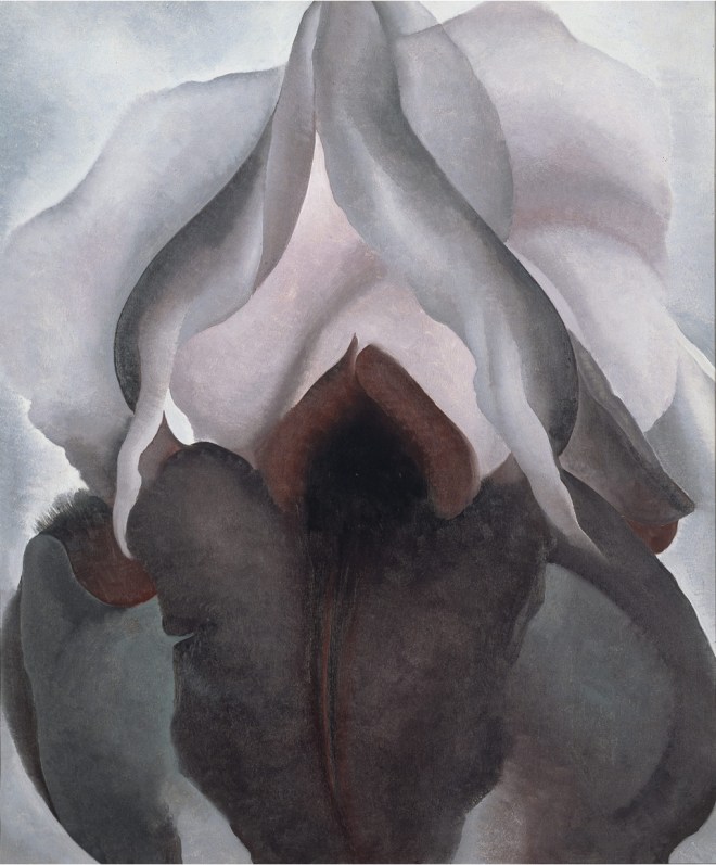 Black Iris, Georgia O’Keeffe, 1926. Image courtesy: Metropolitan Museum of Art