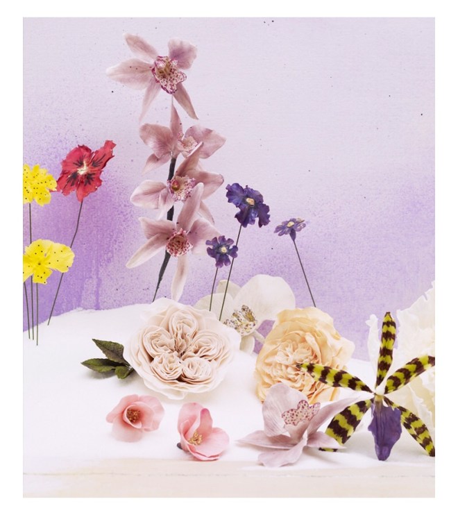 Livia Cetti Portfolio Image © 2017 The Green Vase.