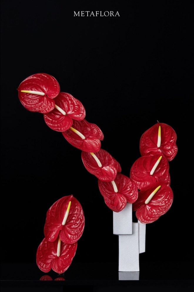 METAFLORA: MARISA COMPETELLO FLORAL DESIGN STUDIO, NEW YORK CITY