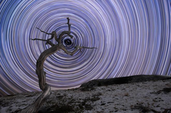 A weathered juniper tree in Montana’s northern Rocky Mountains is surrounded by star trails and in the centre sits Polaris, the brightest star in the constellation of Ursa Minor JAKE MOSHER/ROYAL OBSERVATORY INSIGHT INVESTMENT ASTRONOMY PHOTOGRAPHER OF THE YEAR
